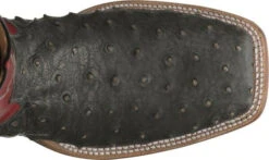 TONY LAMA MEN'S AUGUSTUS GREY OSTRICH BOOTS 6092 -Western Cowboy Fashion 6092 617x563 Top 2000x 1b3cdd20 4fac 41d5 93f7 9efd444ba14d