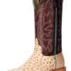 Horse Power By Anderson Bean Mens Bruciato Ostrich Cowboy Boots