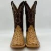 Cowtown Antique Saddle Ostrich Print Boot -Western Cowboy Fashion IMG 8279