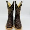Cowtown Chocolate Fish Print Boot -Western Cowboy Fashion IMG 8325