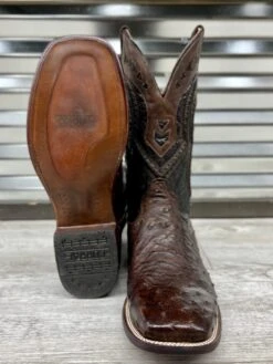 Corral Brown Sq. Toe Ostrich -Western Cowboy Fashion image a9afc649 562f 4f79 bc6f 3da7609f8b74