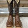 HORSEPOWER Kango Tobacco Full Quill Ostrich -Western Cowboy Fashion image b0049b88 809d 4335 9137 88c0f010d54b